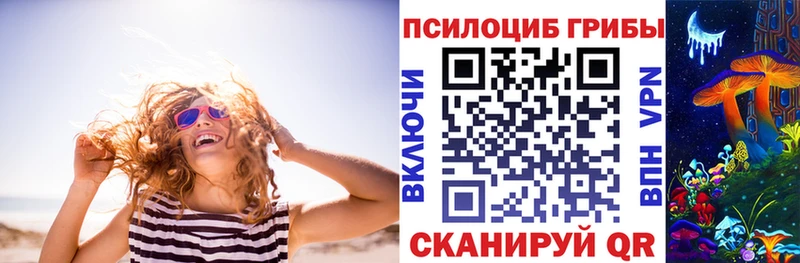 закладка Котельнич МЕГА онион Галлюциногенные грибы Psilocybe